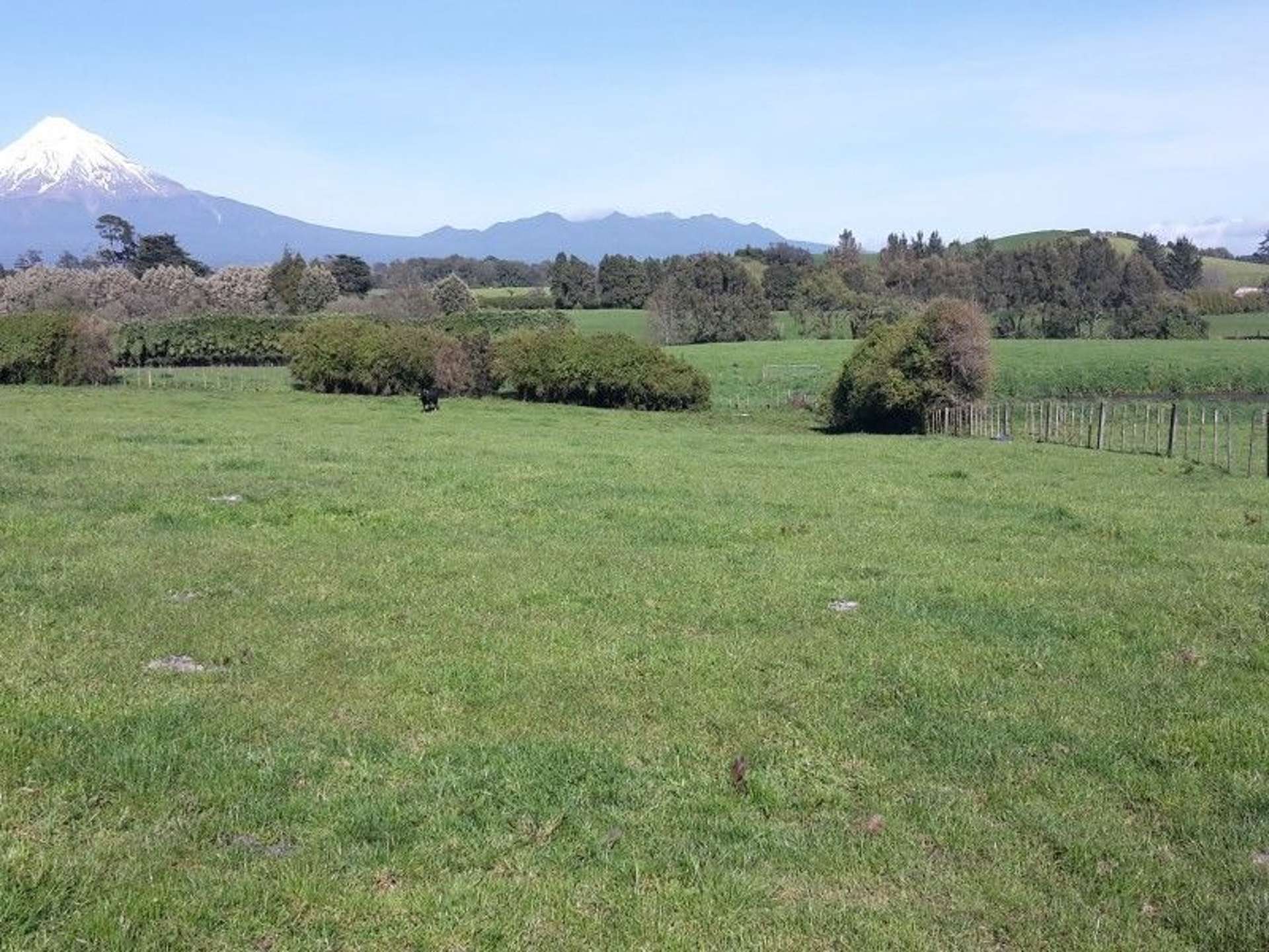 346 Rugby Road Tariki_0