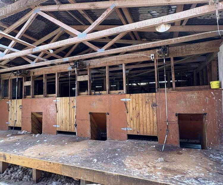 124 Niagara Waikawa Road Niagara_8