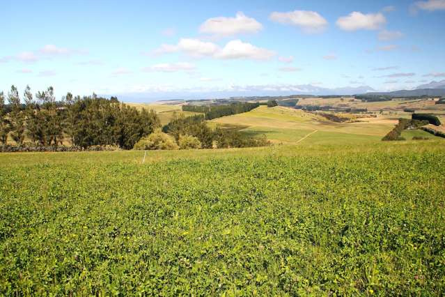 138 Ridgedale Road Te Anau_2