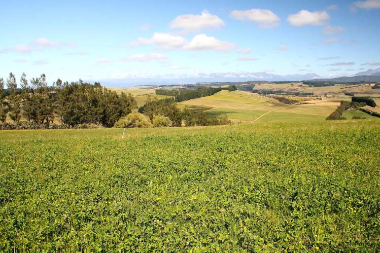 138 Ridgedale Road Te Anau_2