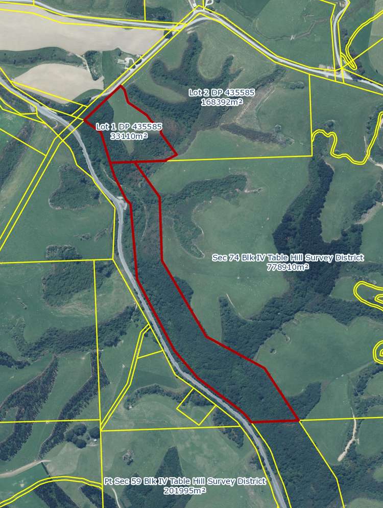 Manuka Gorge Highway Waitahuna_11