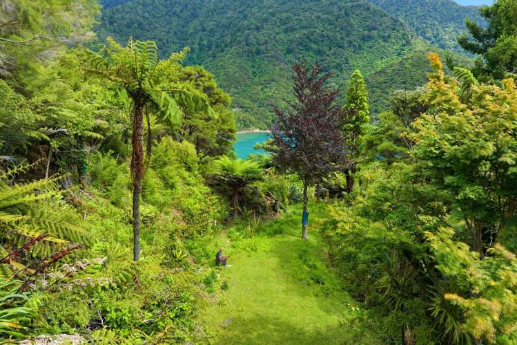 2149 North West Bay Marlborough Sounds_27