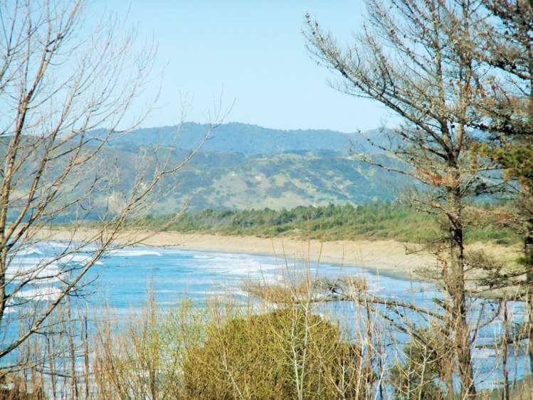 25 Blakes Approach Mahia_10