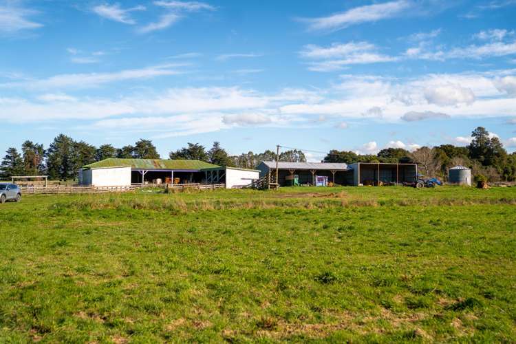 326 Cornwall Road East Taratahi_15