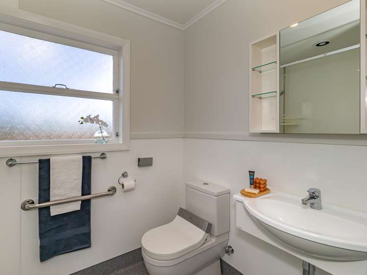 17 Gardener Street Levin_9