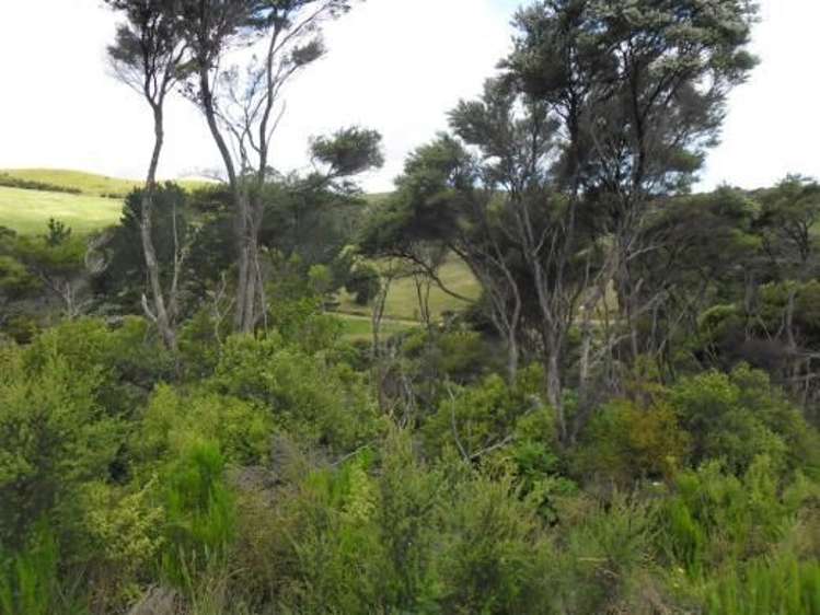 379b Cowes Bay Road Waiheke Island_19