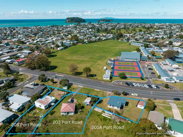 205 Port Road Whangamata_1