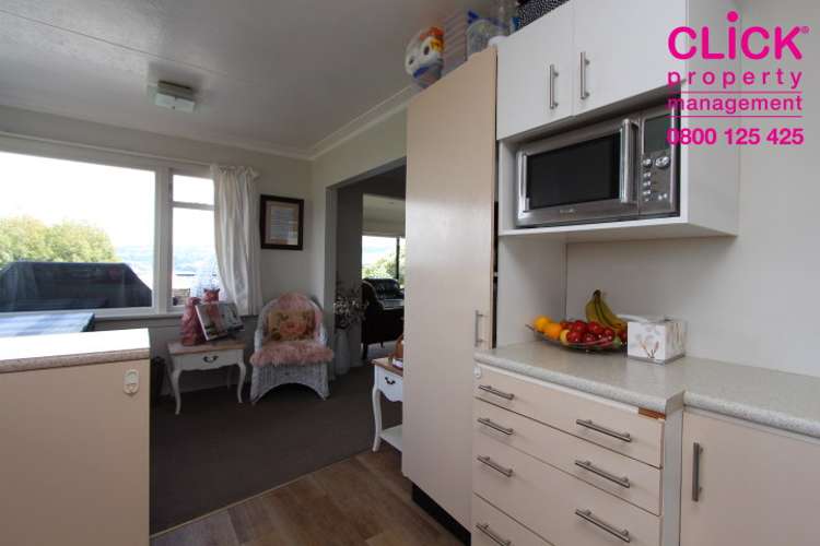 32 Dunrobin Street Waverley_7