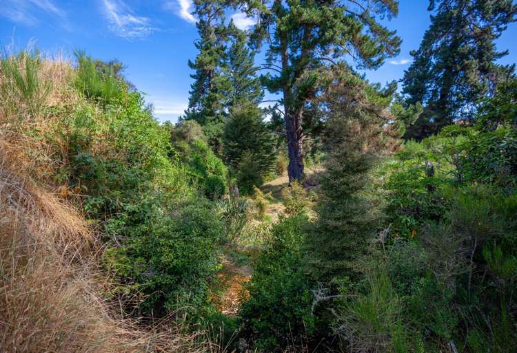 1379 Tadmor-Glenhope Road Tapawera_17