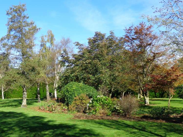 28 Symes Road Mount Somers_6