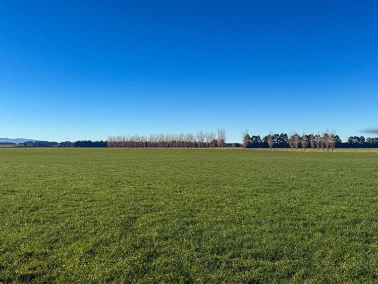 130 Warr Road Balfour_10