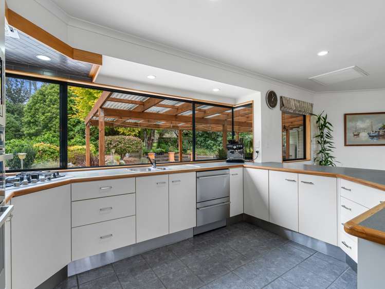 573b Mclaren Falls Road Kaimai_11