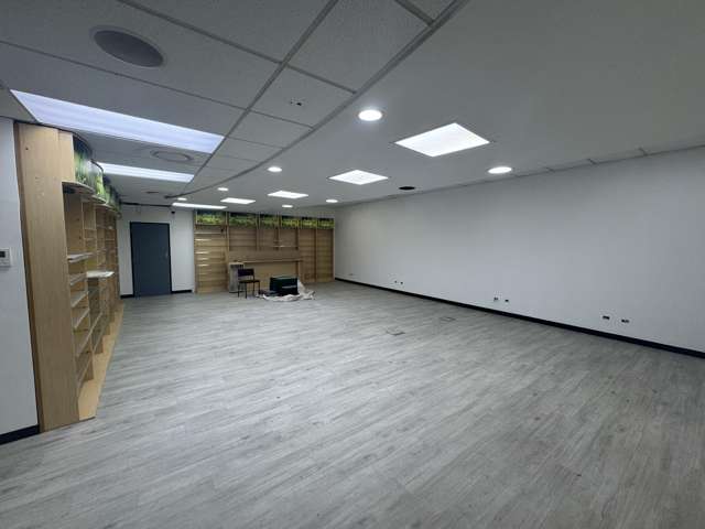 104 Kennedy Road Marewa_4