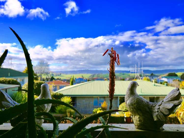 20 Hillcrest Street Tirau_23