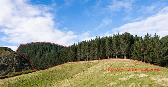 109 Mclaren Gully Road Allanton_1