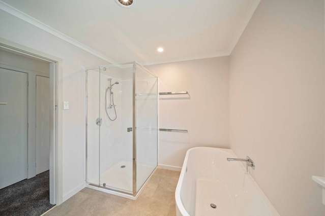 360 Carrington Street Upper Vogeltown_4