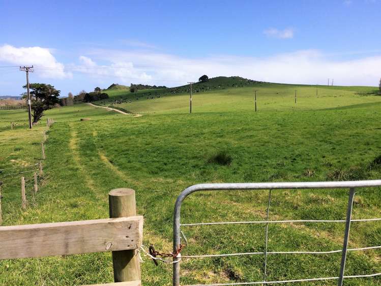 6036 State Highway 12 Arapohue_22