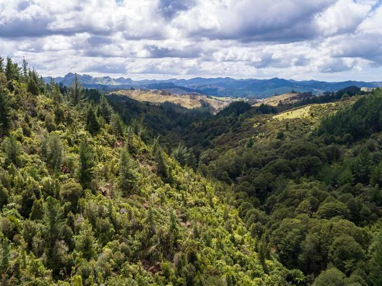 939 Kaiwhata Road Te Wharau_14