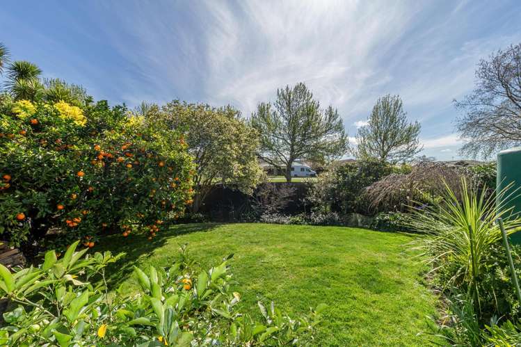 3/100 Avondale Road Taradale_22