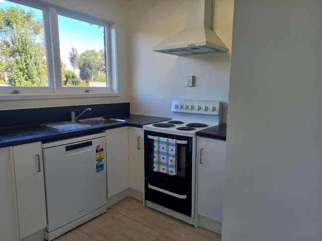 2/91A Trafalgar Street Onehunga_4