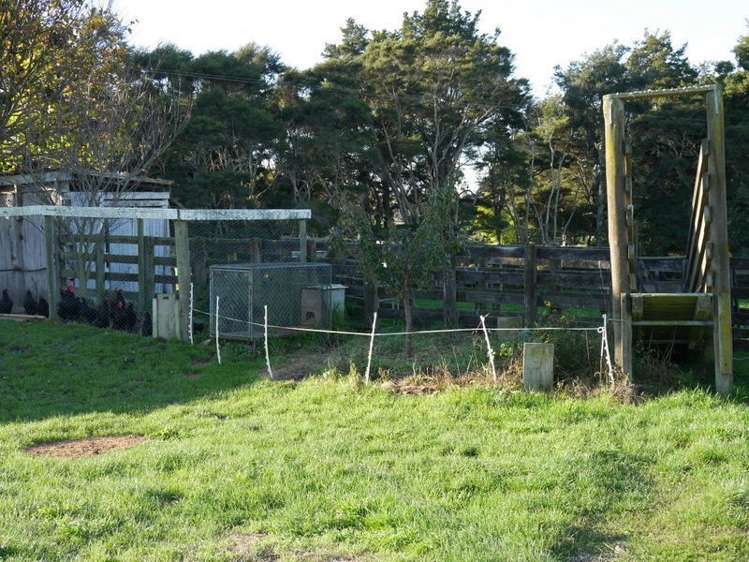 102 Allen Street Morrinsville_12