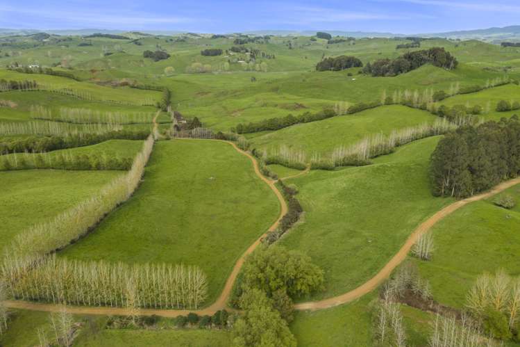 95 Mairoa Road Piopio_0