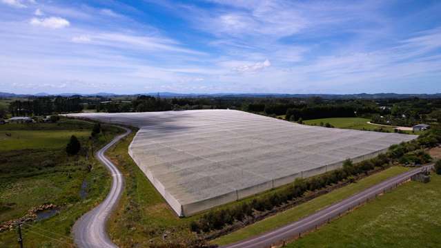 147 Stanners Road and 89 Kapiro Road Kerikeri_3