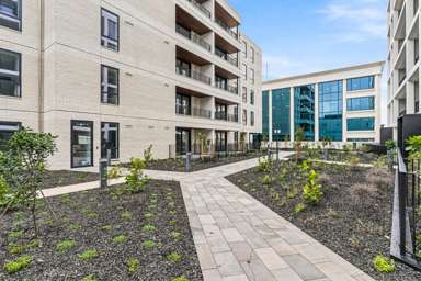 81 Carlton Gore Road_2