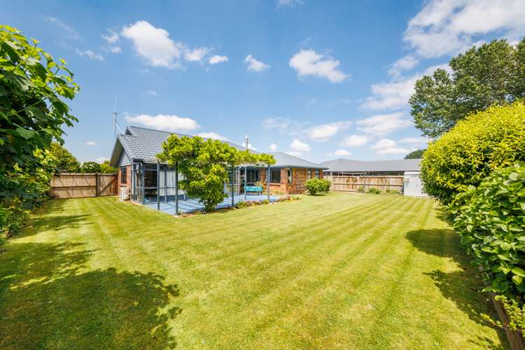 6 Northfeild Rise Feilding_20