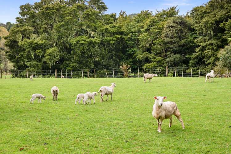 162 Upokorau   Road Kaeo_20