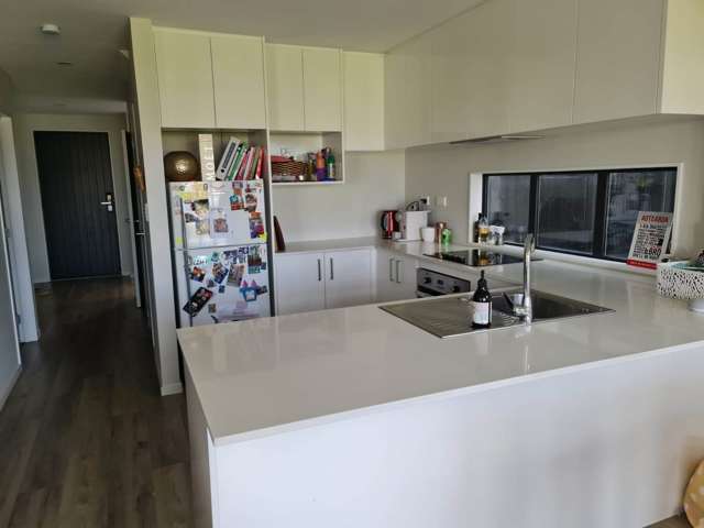 3 Irving Place Hobsonville_2