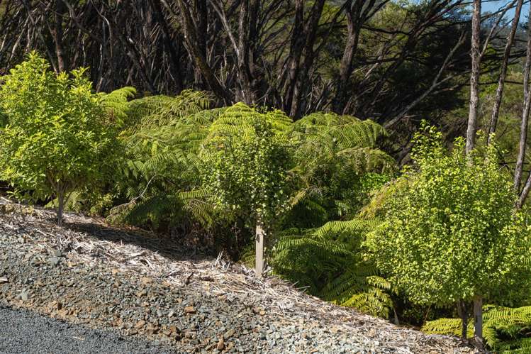 Lot 1 Kapawiti Road Mangawhai_11