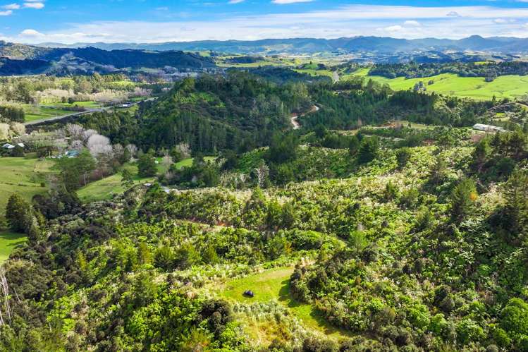 Lot 3 Radiata Road Warkworth_15