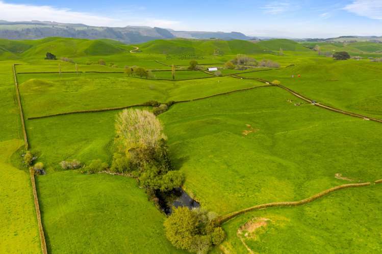 310 Matarawa Road Kinleith_23