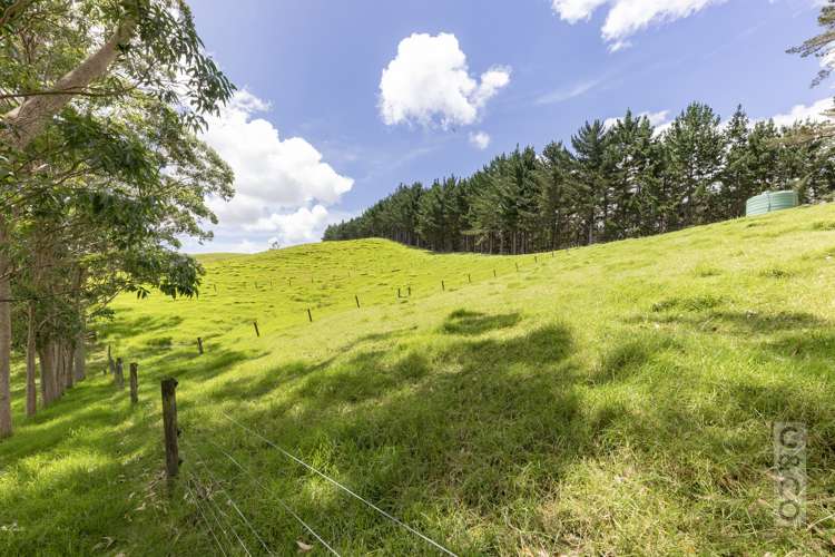 589 Inland Road Helensville_17