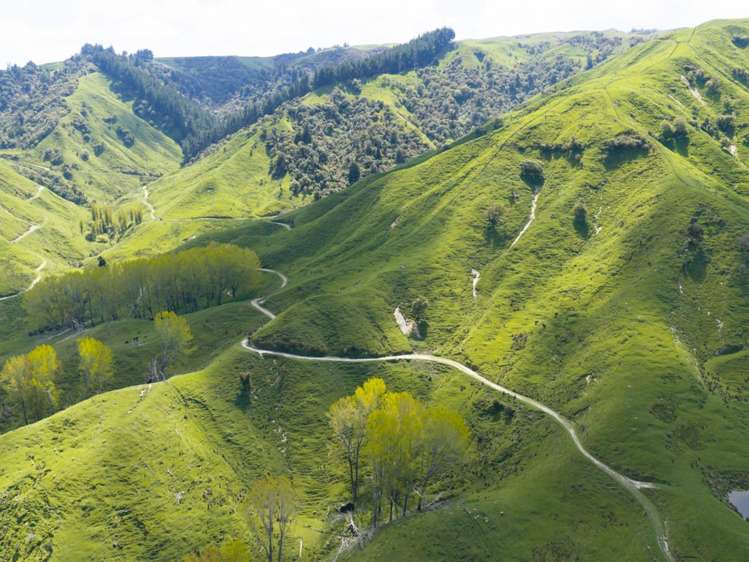 6900 State Highway 1 Mangaweka_2