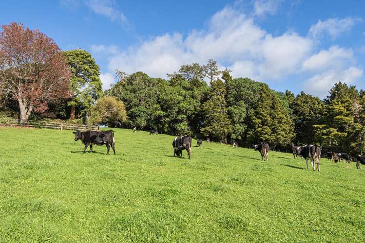 43 Waiariki Road Whakapara_10