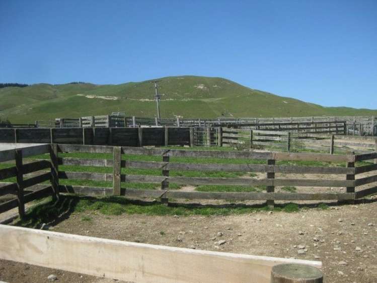 858 Oporae Road Waione_18