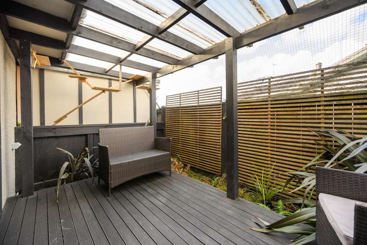 134 Kelvin Grove Road Kelvin Grove_15