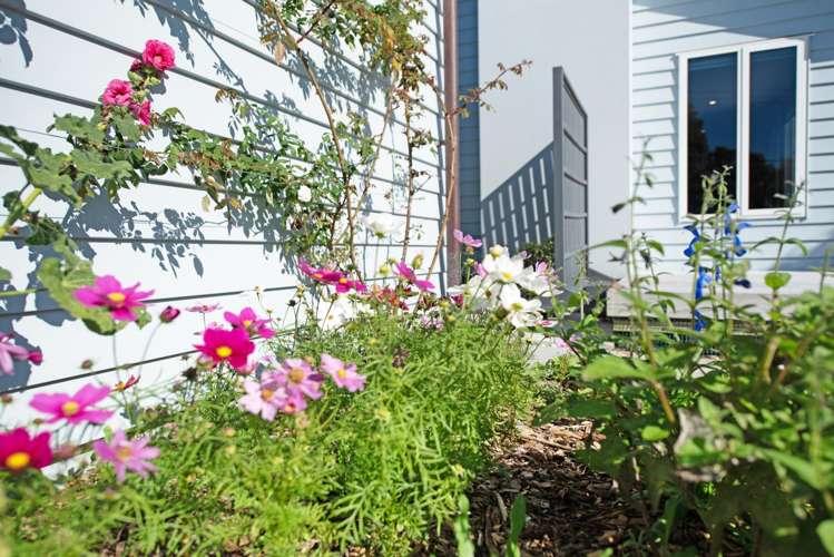 8 Kaka Street Waikanae_24