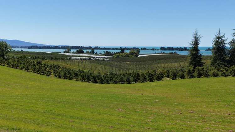 Lot 1/86 Eden Road Tasman_2