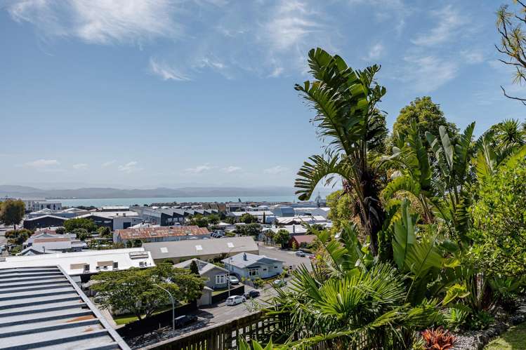 156 Battery Road Hospital Hill_18