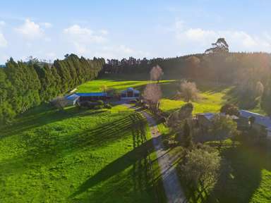 139 Te Puea Road_3