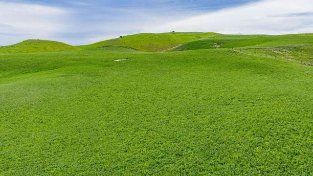 Corner Te Aute Trust Road and Aupaki Road Poukawa_4