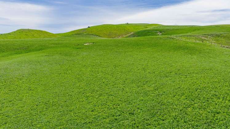 Corner Te Aute Trust Road and Aupaki Road Poukawa_4