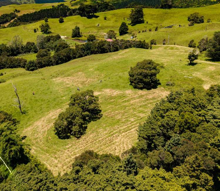 770 Fisher-Riley Road Kaingaroa_12