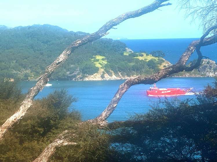 352 Shoal Bay Road_0