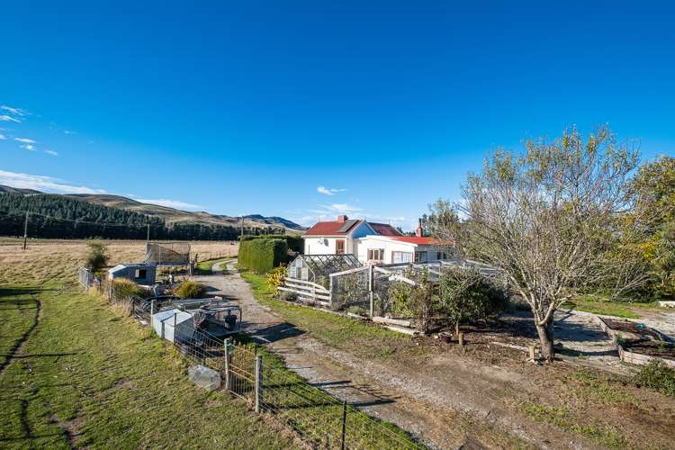 431 Grange Hill Road Palmerston_14