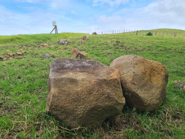 54 Hall Road Tinopai_8