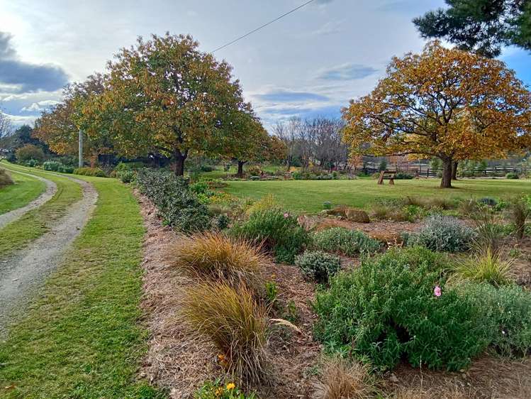 40 Cashel Street Waimate_34